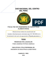 Tesis Poma PDF