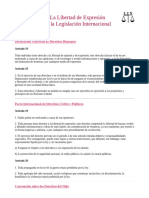 Derecho de expresion en los tratados internacionales