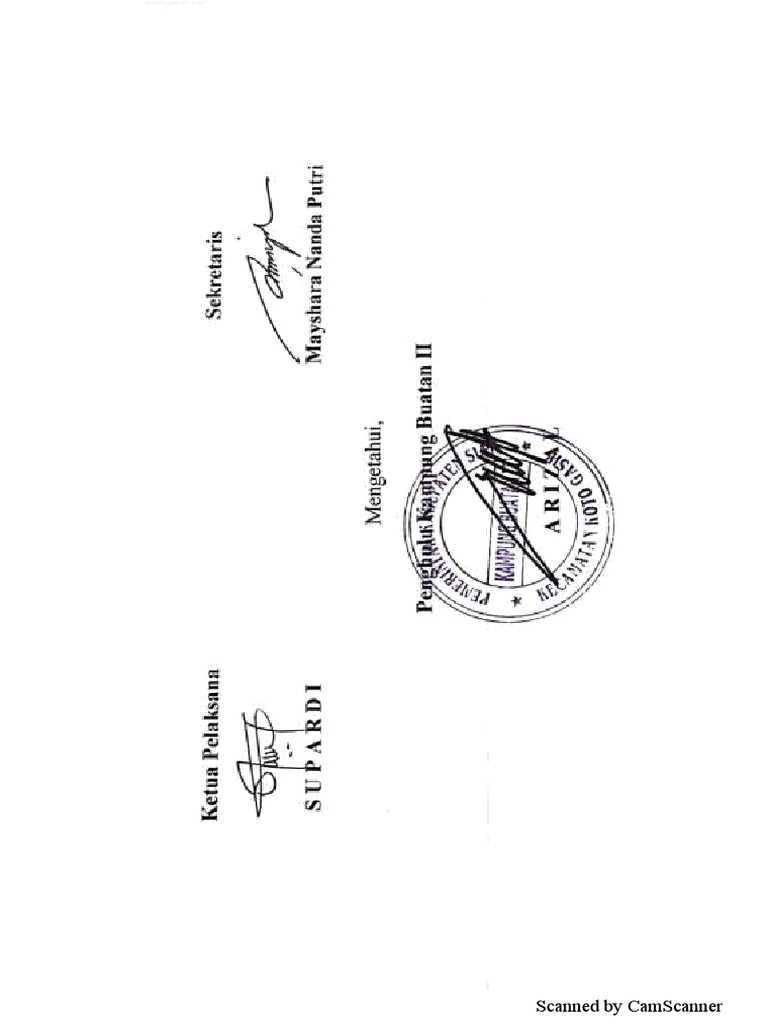 Scanned Document Analysis Guide | PDF