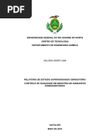 Análise de Lava Roupas Líquido