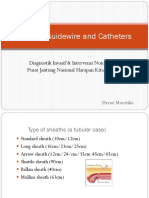 Sheath Guidewire Dan Catheters