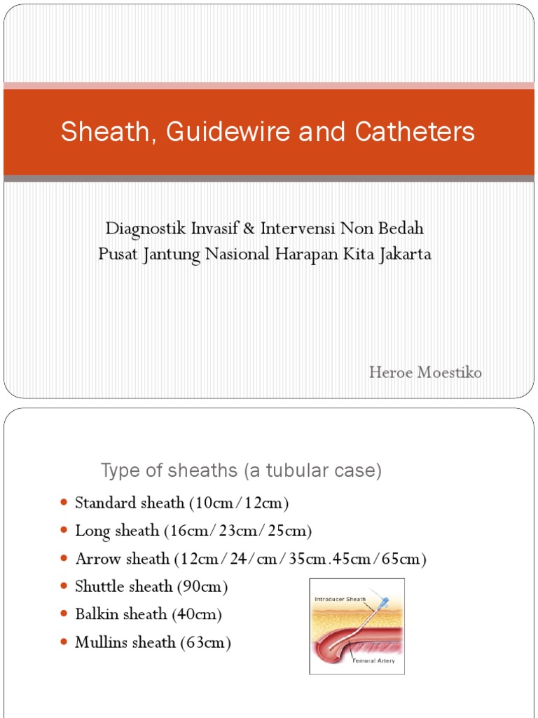 Sheath Guidewire Dan Catheters PDF Angiography Coronary Artery