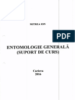Entomologie Generala Curs PDF