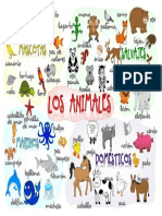 El Mundo de Los Animales Diccionario de Imagenes Flash Card 64839 (1)