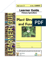 Understand Plant Structure and Function