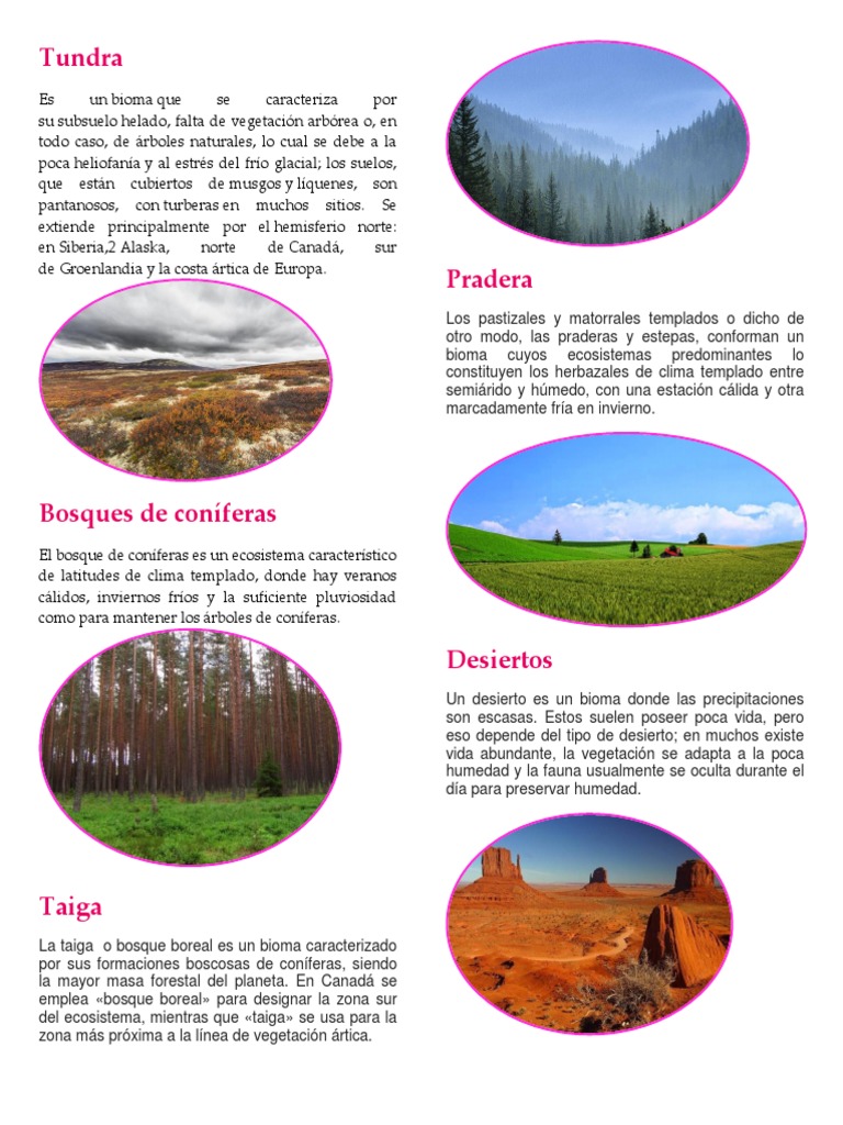 Biomas | PDF | Desierto | Biogeografia