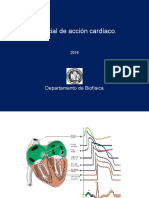 004_Cardiaco I 2018.pdf