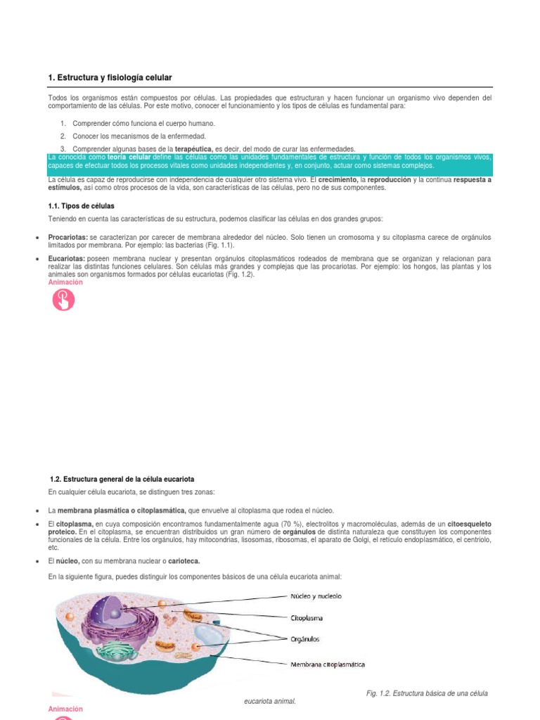 Estructura y Fisiología Celular | PDF | Citoplasma | Biología Celular)