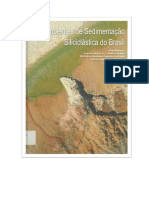 Livro Ambientes de Sedimentação Siliciclástica Do Brasil