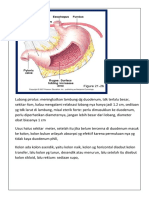 Sistem Pencenaan