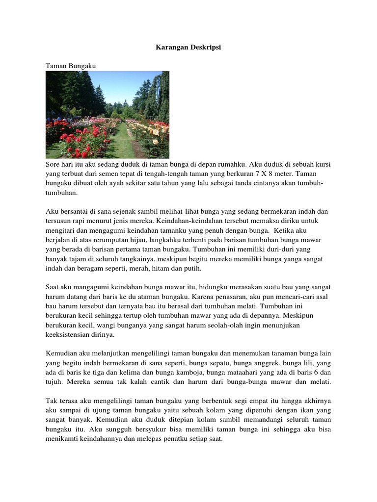 16 Contoh Kalimat Deskripsi Tentang Bunga Mawar Adalah 16 Contoh Kalimat Deskripsi Tentang Bunga Mawar Adalah