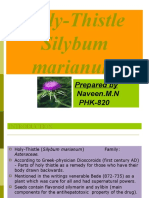 Holy-Thistle Silybum Marianum: Prepared by PHK-820