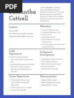 blue resume