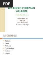 Download Microbes in Human Welfare by Karishma Sethi SN38938697 doc pdf