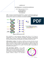 345-2013-11-11-Capitulo_IV_GLOSARIO.pdf