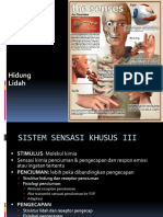 Sistem Sensasi Khusus III KECAP&CIUM - 2015 2016 PDF