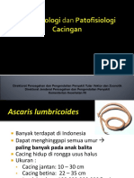 Epidemiologi Dan Patofisiologi Cacingan