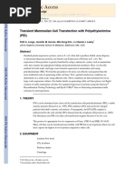PEI Transfection