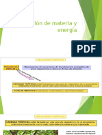 Circulación de Materia y Energía