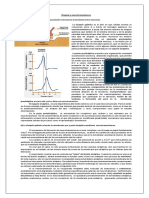 Sinapsis y Neurotransmisores