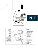 equipos autonomos.docx