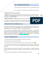 TEMA 7. LESIONES ARTICULARES.pdf