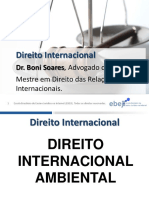 Slides Prof Boni Soares Direito Internacional Ambiental Alunopdf