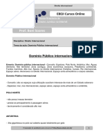 Roteiro DIP Domnio Pblico Internacionalpdf