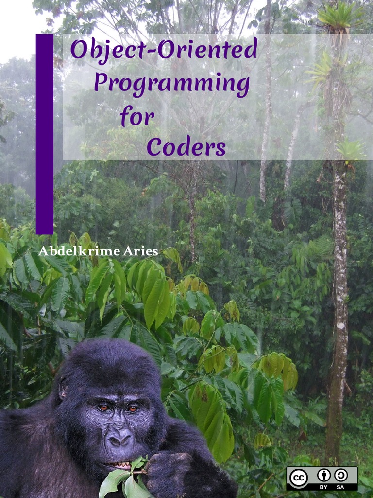 Object-Oriented Programming For Coders | PDF | Object Oriented ...