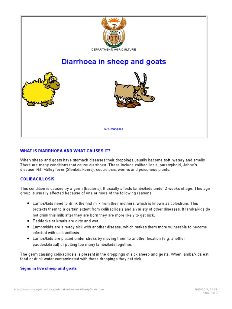 Diarrhoea in Sheep and Goats | PDF | Sheep | Goat