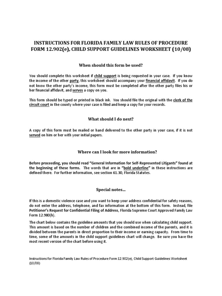 Instructions For Florida Family Law Rules of Procedure Form 12.902 (E