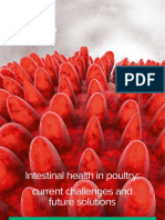 Delacon - Dossier - 7 EN - Intestinal Health in Poultry PDF