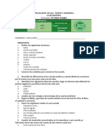 Especialidad Ra 40 PDF