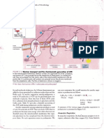 Unidad II Micro PDF