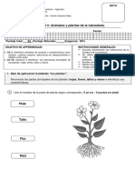 Prueba Unidad 3 Animales y Plantas