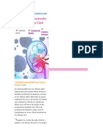 Limpiezas Del Protocolo de La Dra. Hulda Clark