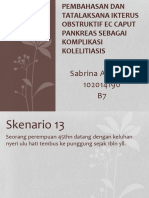 PBL Sken.13