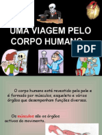 O Corpo Humano - O Sistema Nervoso