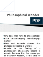 3 Philosophical Wonder