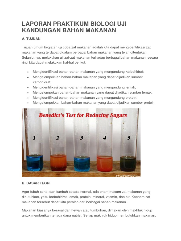 Laporan Praktikum Biologi Uji Kandungan Bahan Makanan Pdf