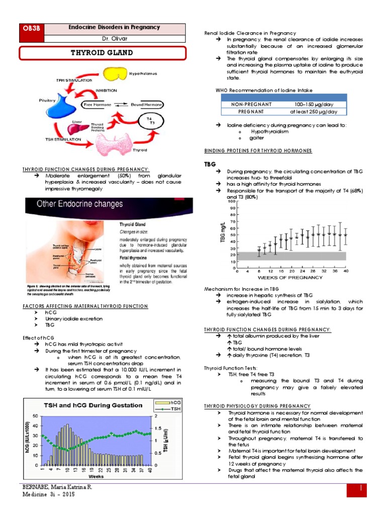 Thyroid and Diabetes Disorders in Pregnancy | PDF | Hyperthyroidism ...