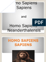 Homo