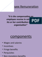 Employee Remuneration