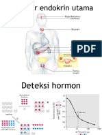 #3 Pemeriksaan Hormon DR - Syuhada #2