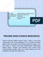 Flaksus Brachialis