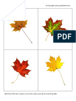 LeafMatching PDF