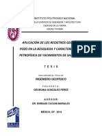 Aplicación de los registros geofísicos de pozo en la busqueda y caracterización petrofísica de Yacimientos de Shale Gas.pdf