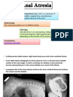 Anal Atresia Radiography