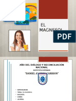 EL MAGNESOL.pptx