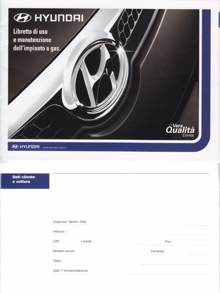 Libretto Impianto GAS yamaha r6 wiring diagram pdf 